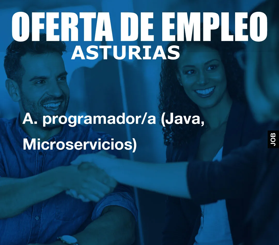 A. programador/a (Java, Microservicios)