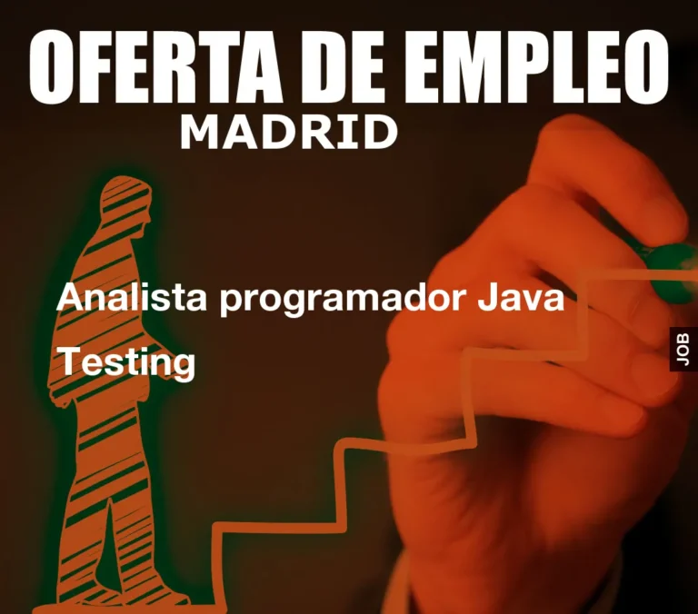 Analista programador Java Testing