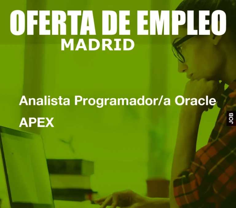 Analista Programador/a Oracle APEX