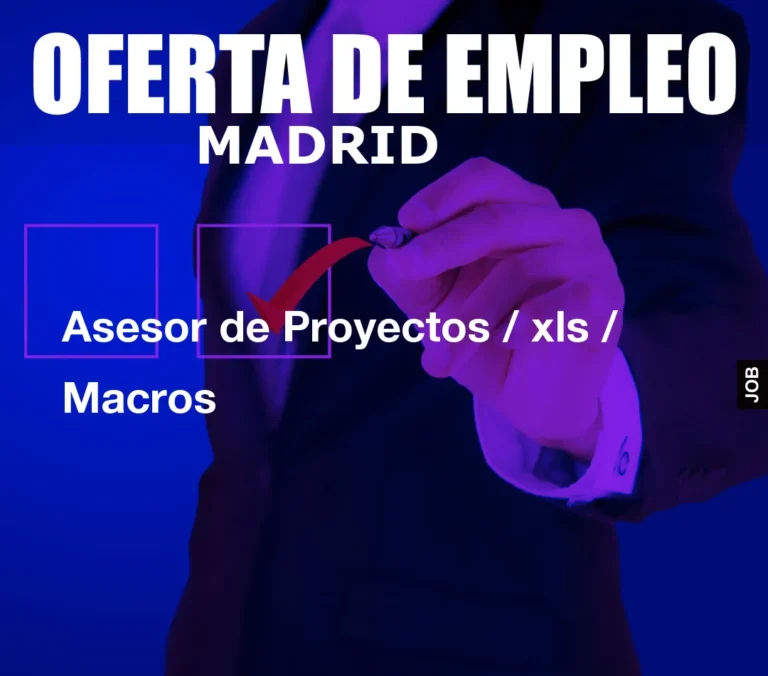 Asesor de Proyectos / xls / Macros