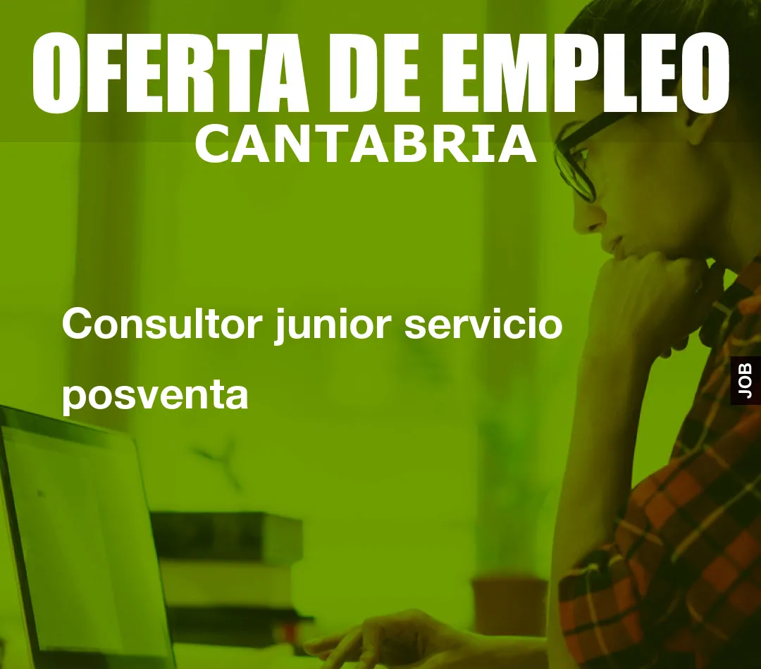 Consultor junior servicio posventa