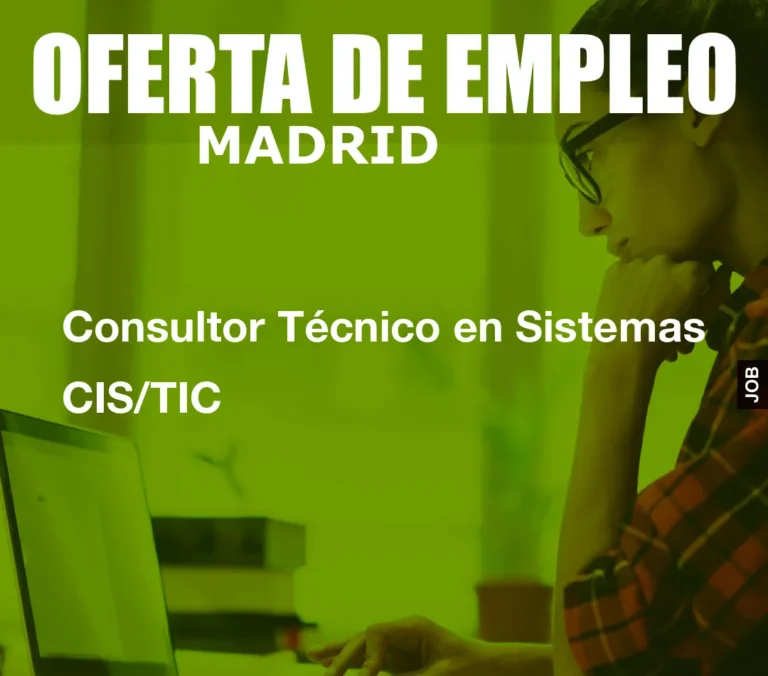 Consultor Técnico en Sistemas CIS/TIC