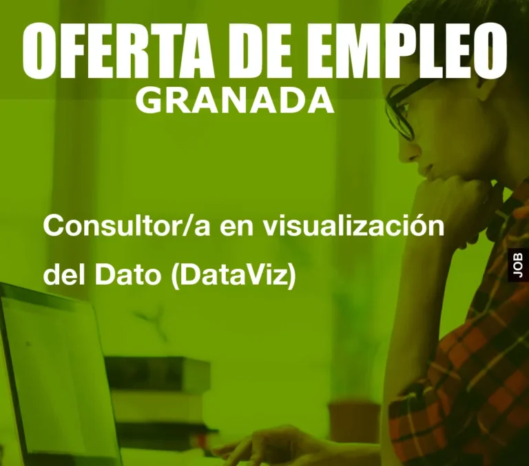 Consultor/a en visualizaci?n del Dato (DataViz)