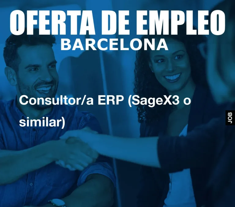 Consultor/a ERP (SageX3 o similar)