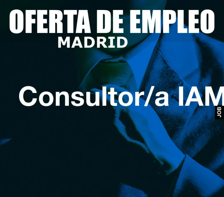 Consultor/a IAM