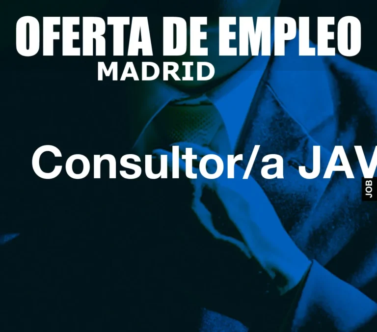 Consultor/a JAVA