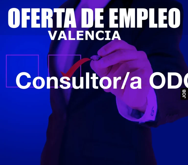 Consultor/a ODOO