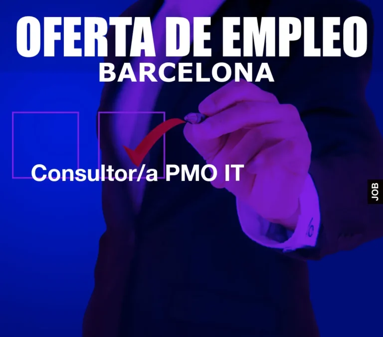 Consultor/a PMO IT