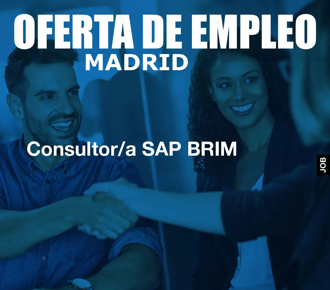 Consultor/a SAP BRIM