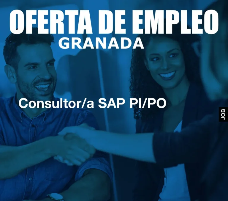 Consultor/a SAP PI/PO