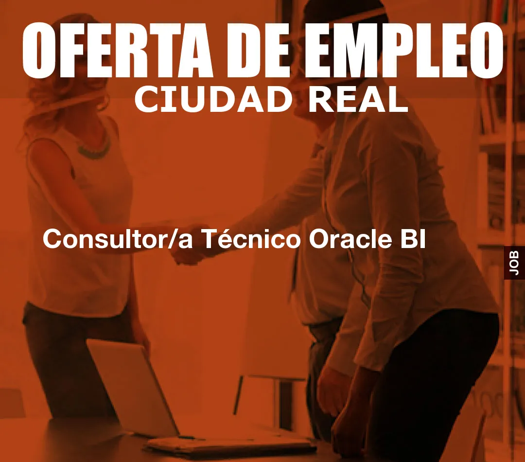 Consultor/a Técnico Oracle BI