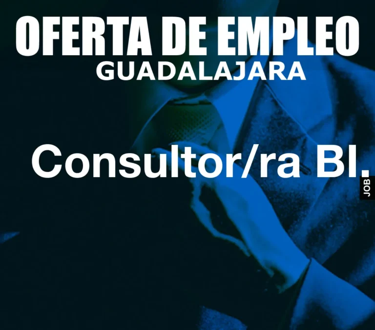 Consultor/ra BI.