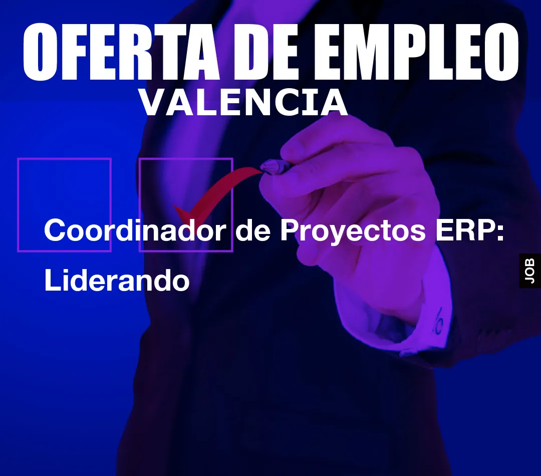 Coordinador de Proyectos ERP: Liderando