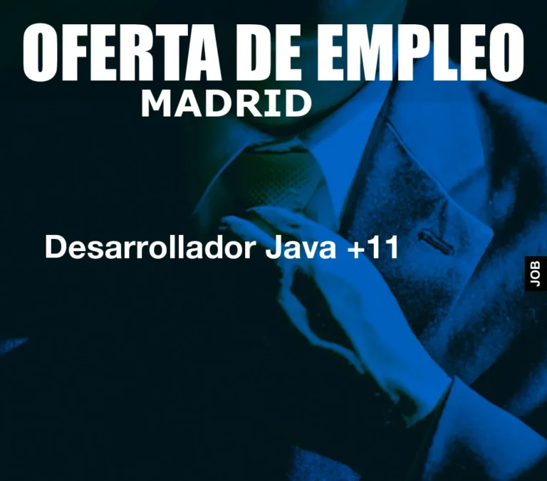 Desarrollador Java +11