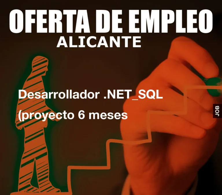 Desarrollador .NET_SQL (proyecto 6 meses