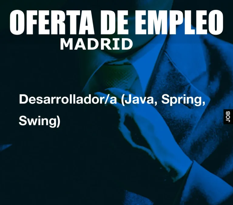 Desarrollador/a (Java, Spring, Swing)