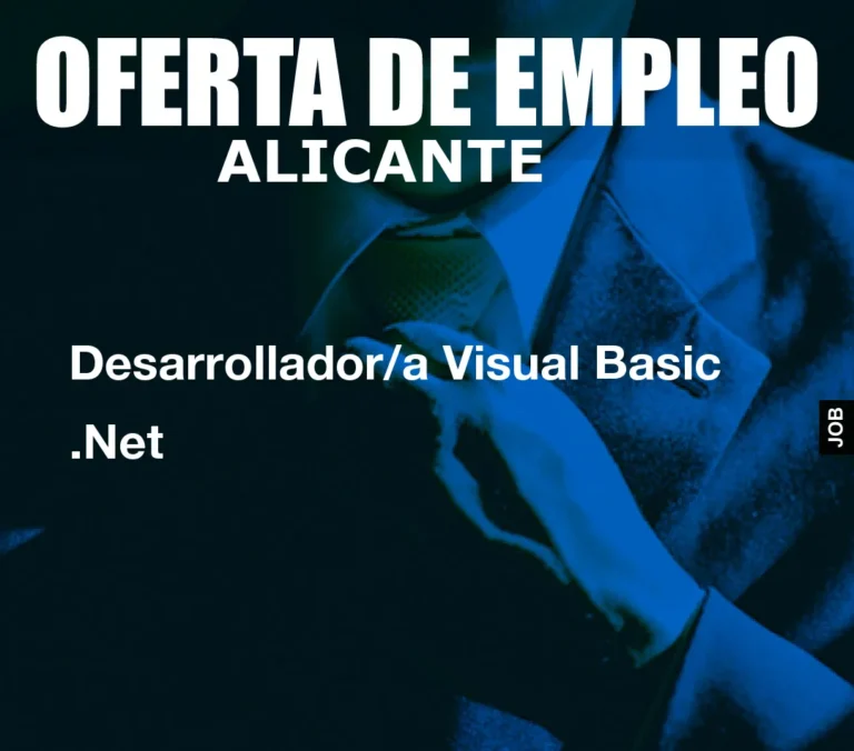 Desarrollador/a Visual Basic .Net