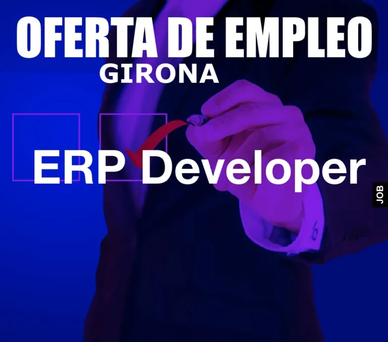 ERP Developer