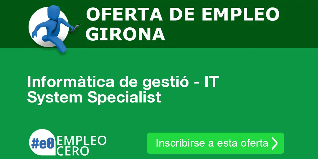 Informàtica de gestió - IT System Specialist