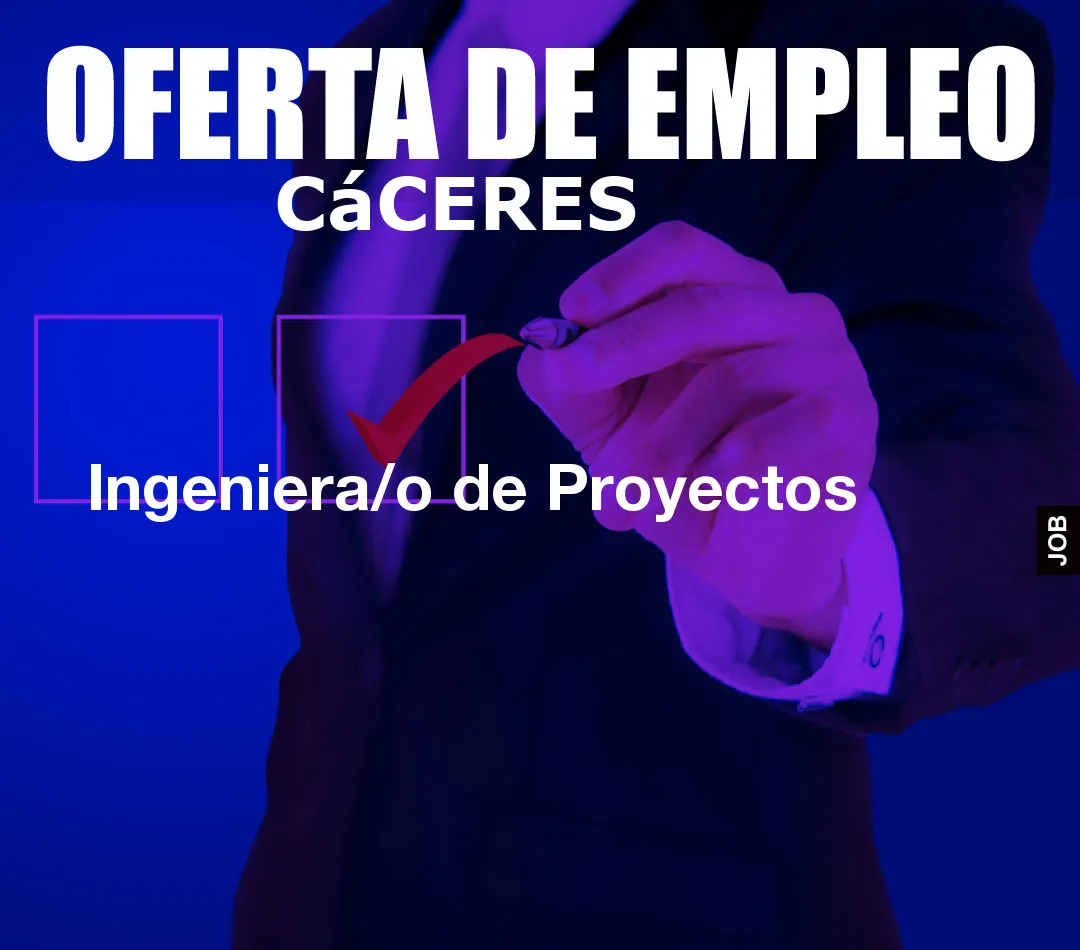 Ingeniera/o de Proyectos