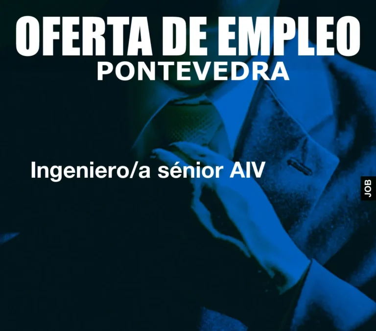 Ingeniero/a sénior AIV