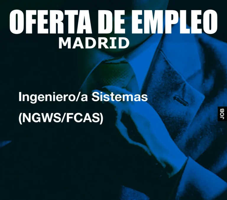 Ingeniero/a Sistemas (NGWS/FCAS)