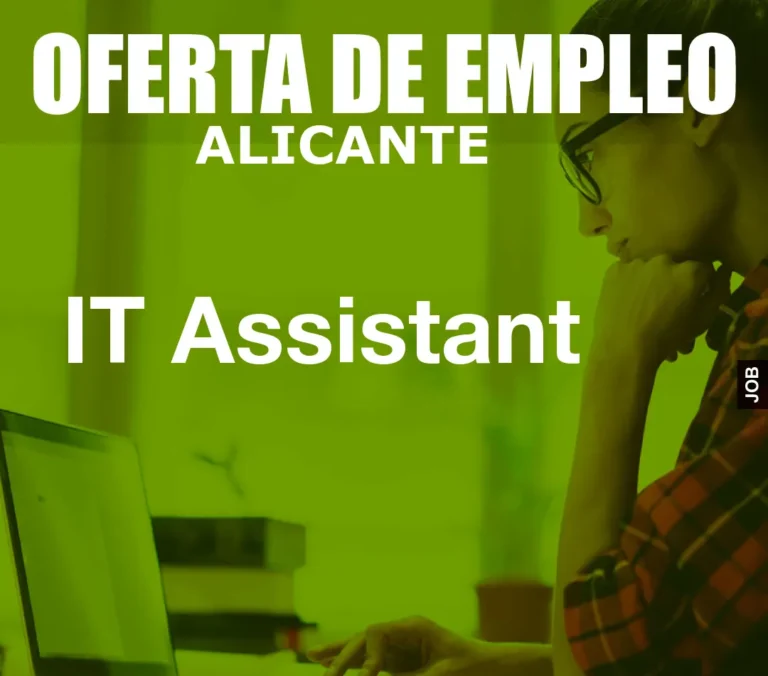 IT Assistant