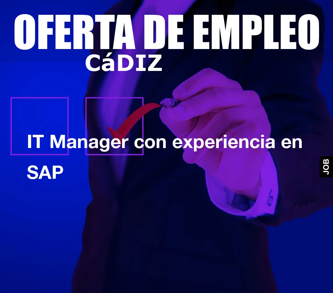 IT Manager con experiencia en SAP