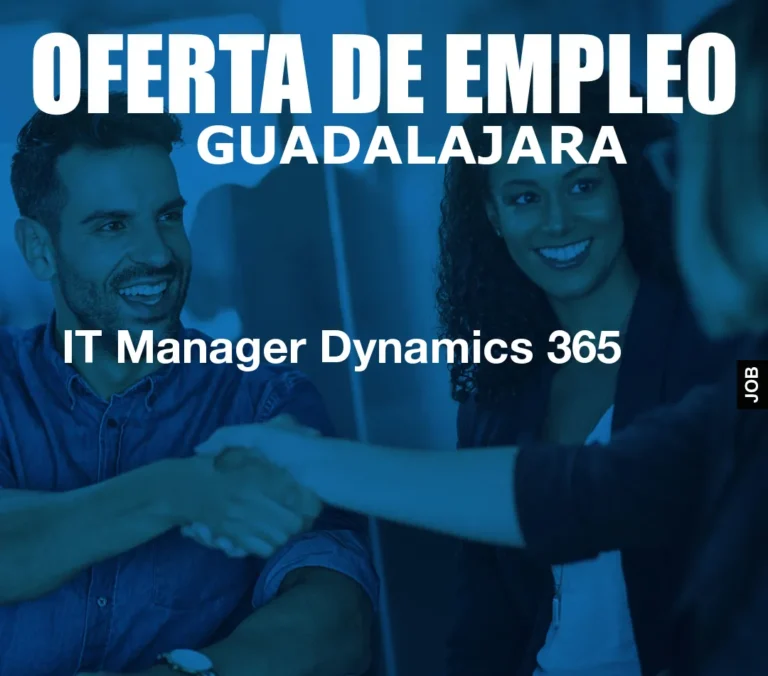 IT Manager Dynamics 365