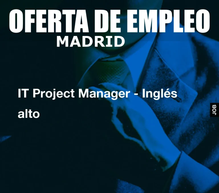 IT Project Manager – Inglés alto