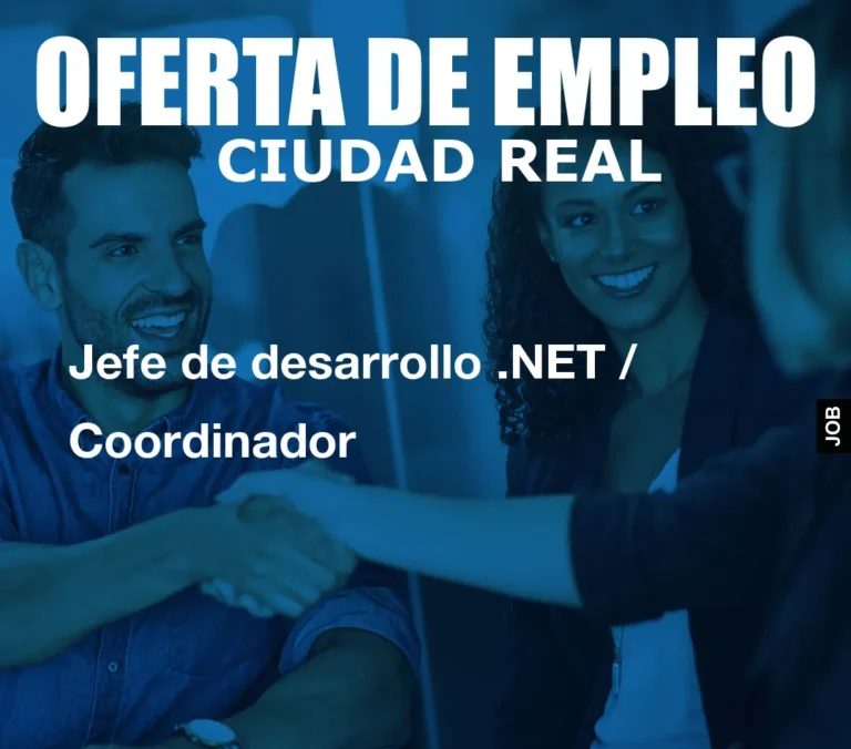 Jefe de desarrollo .NET / Coordinador