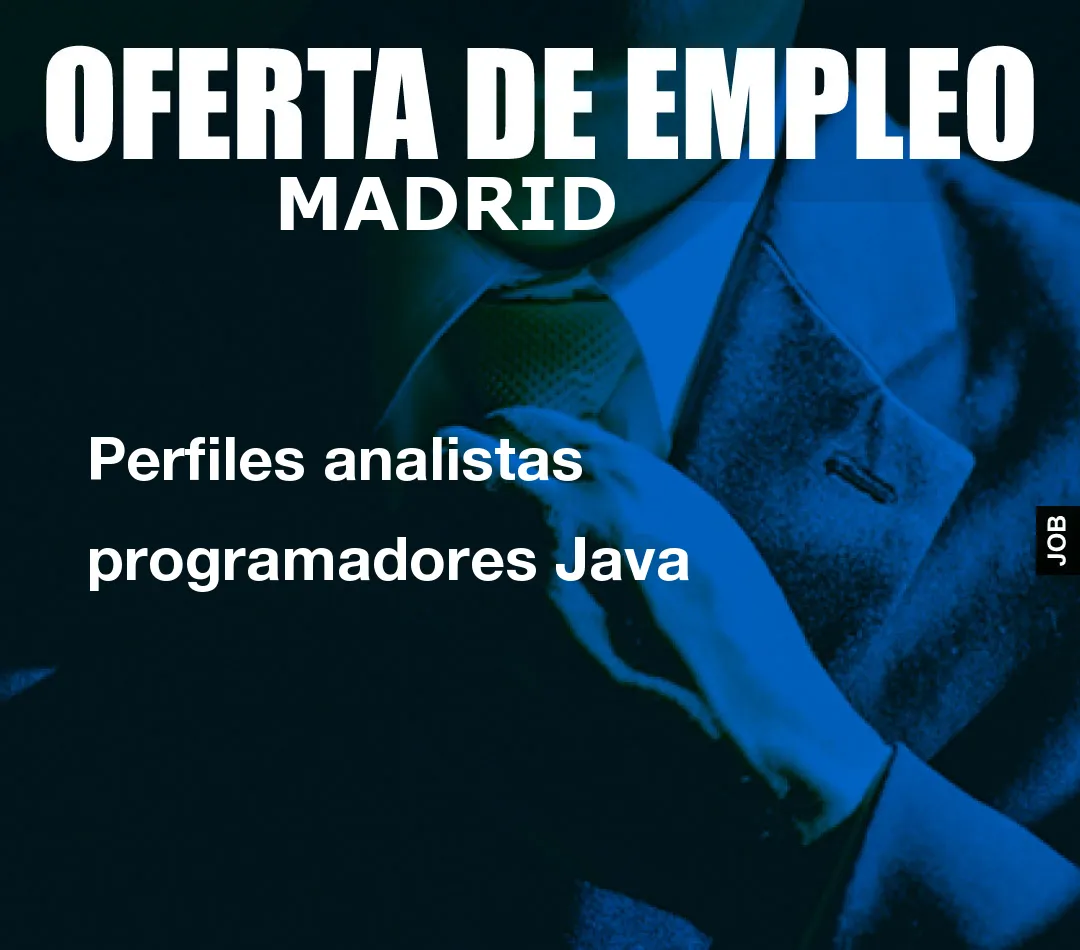 Perfiles analistas programadores Java