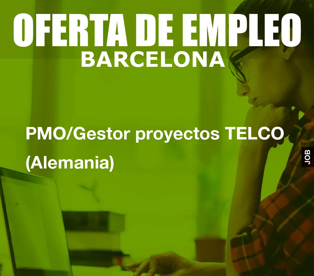 PMO/Gestor proyectos TELCO (Alemania)