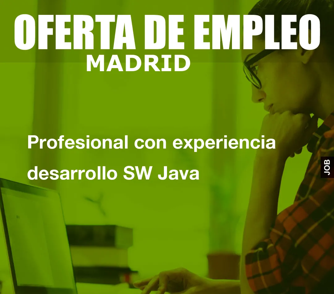 Profesional con experiencia desarrollo SW Java