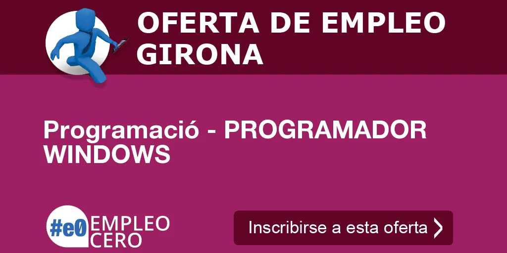 Programació - PROGRAMADOR WINDOWS