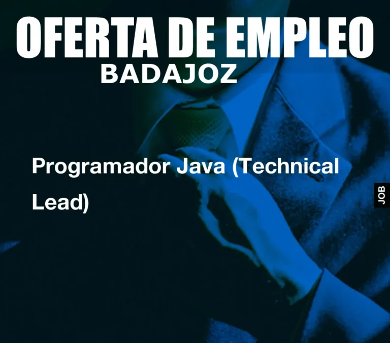 Programador Java (Technical Lead)