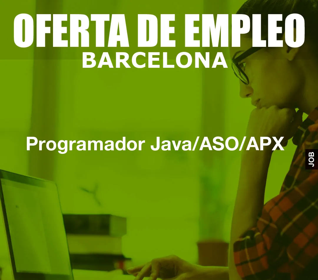 Programador Java/ASO/APX