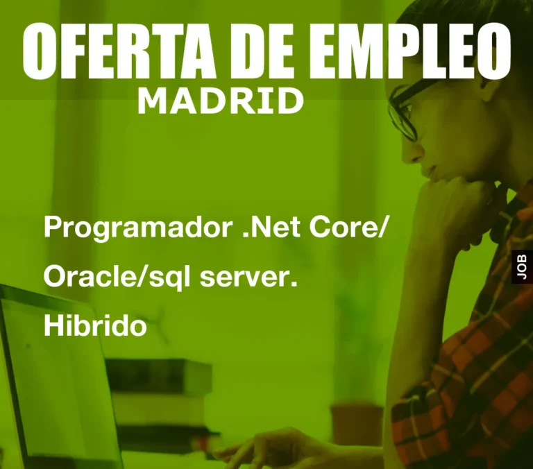 Programador .Net Core/ Oracle/sql server. Hibrido