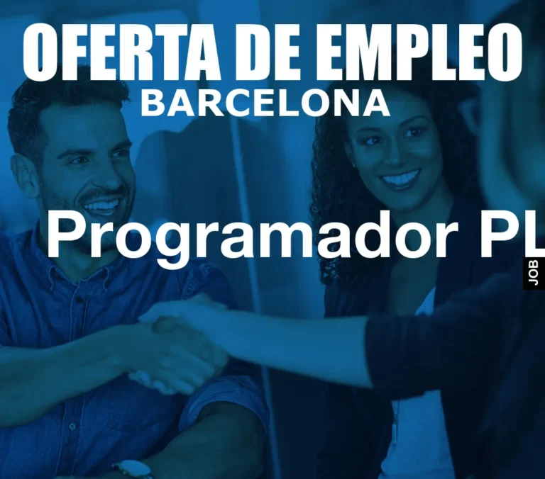 Programador PLM