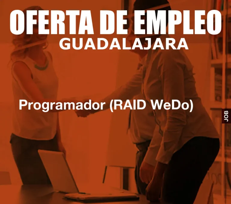 Programador (RAID WeDo)