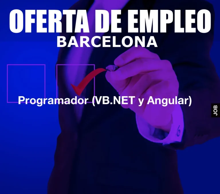 Programador (VB.NET y Angular)