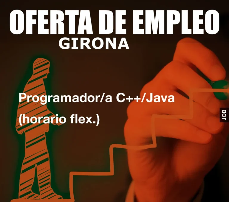 Programador/a C++/Java (horario flex.)