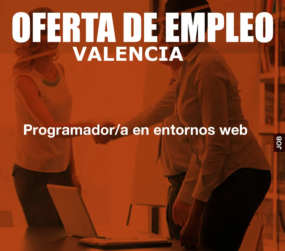 Programador/a en entornos web