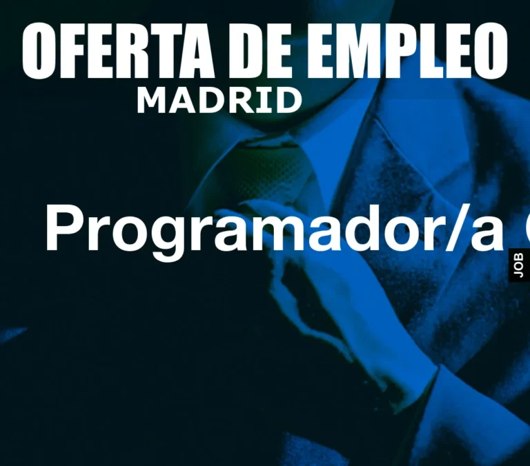 Programador/a Gis