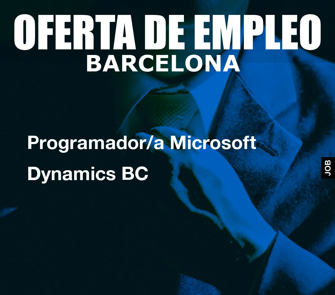 Programador/a Microsoft Dynamics BC