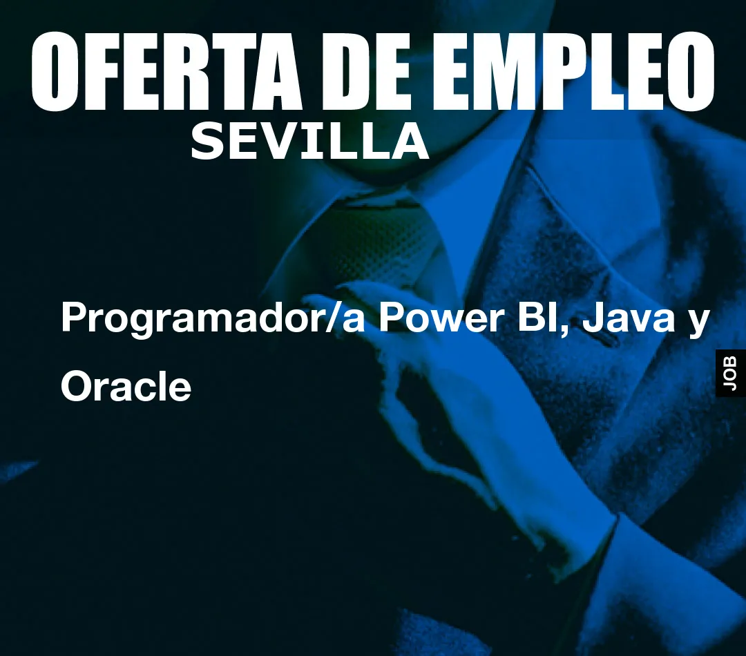 Programador/a Power BI, Java y Oracle