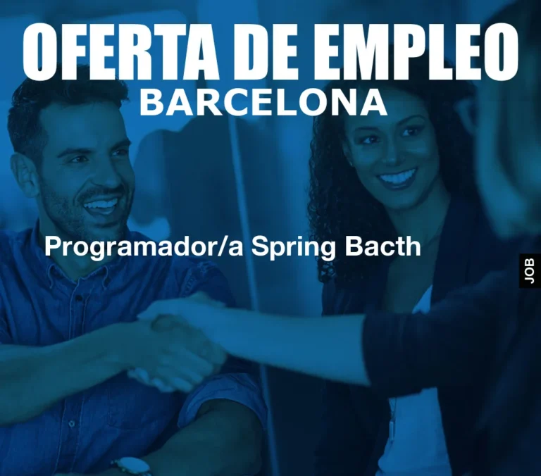 Programador/a Spring Bacth