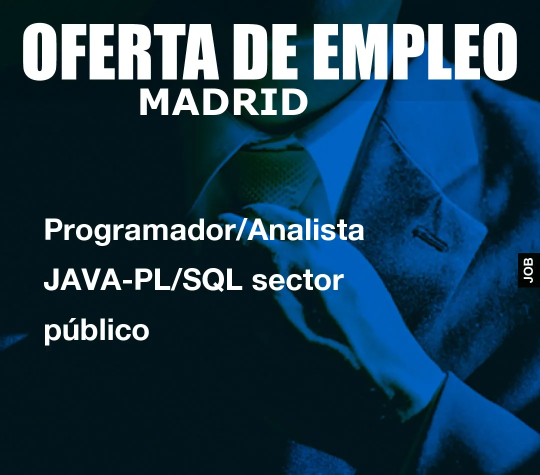 Programador/Analista JAVA-PL/SQL sector público