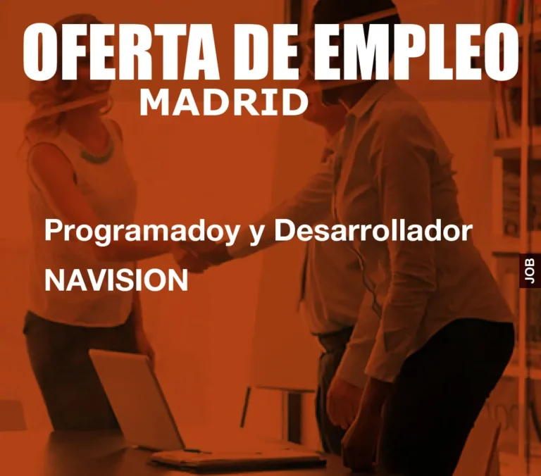 Programadoy y Desarrollador NAVISION