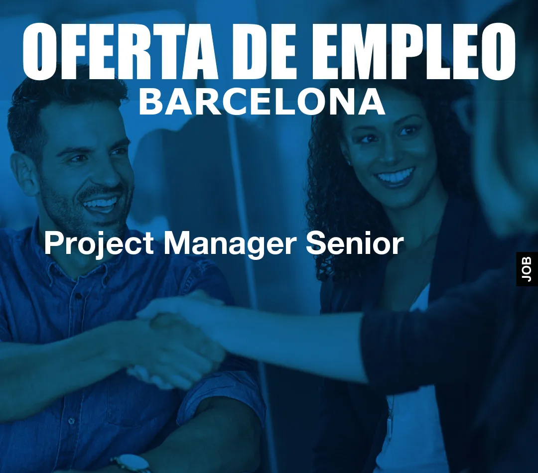 Project Manager Senior